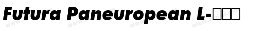 Futura Paneuropean L字体转换